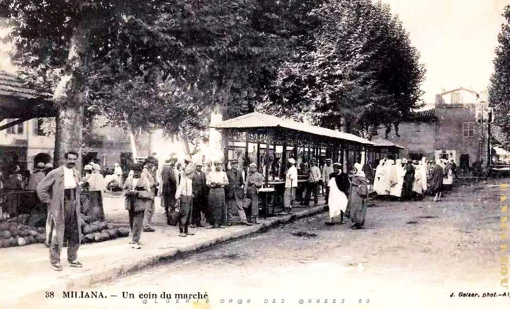 Miliana - Marche - Coin.jpg